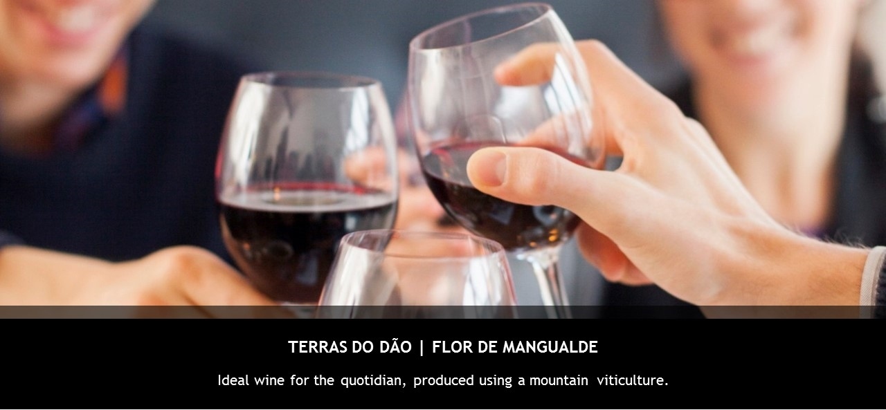 wines_flordemangualde
